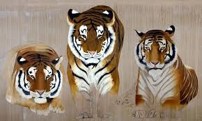 Triple Tigers Collections