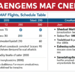 Delta ends MAF flights